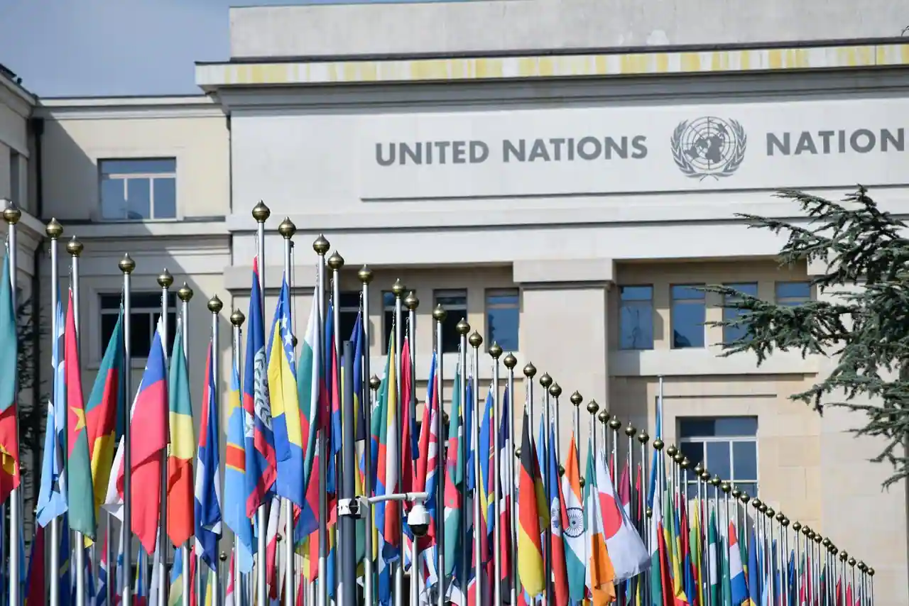 Drapeaux des États membres alignés devant le siège des Nations unies