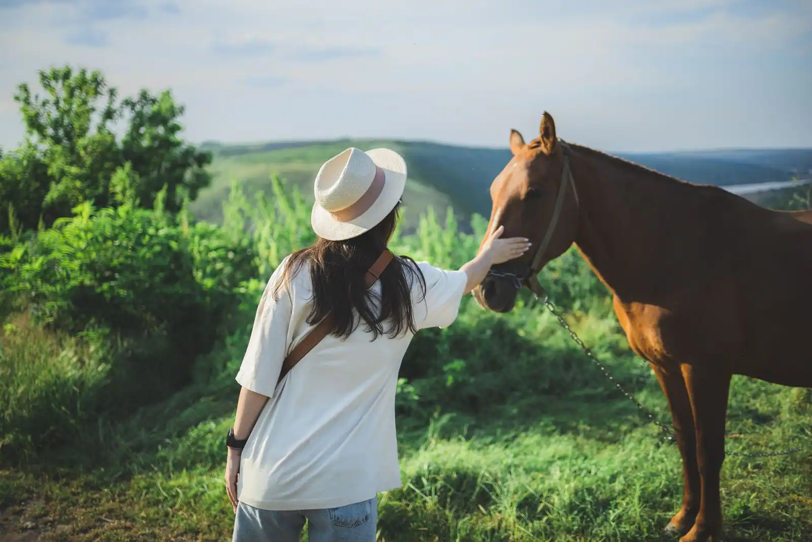 Personne partageant un moment calme et complice avec un cheval dans un pré, évoquant le lien avec l'animal.